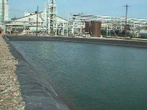 Vi sinh xử lý nước thải hóa dầu Petrochemical